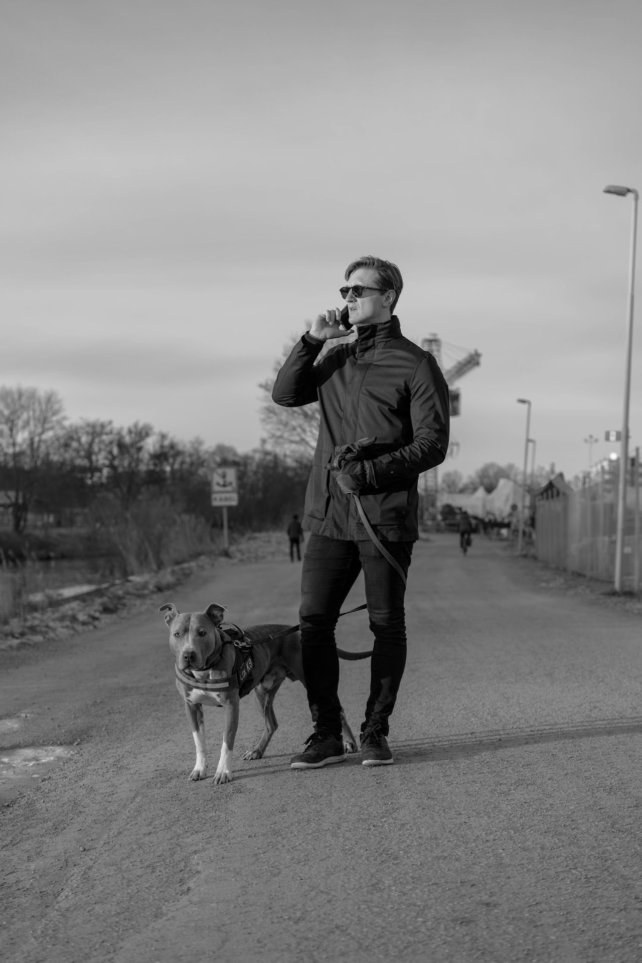 Monochrome man walking two dogs while raising a camera