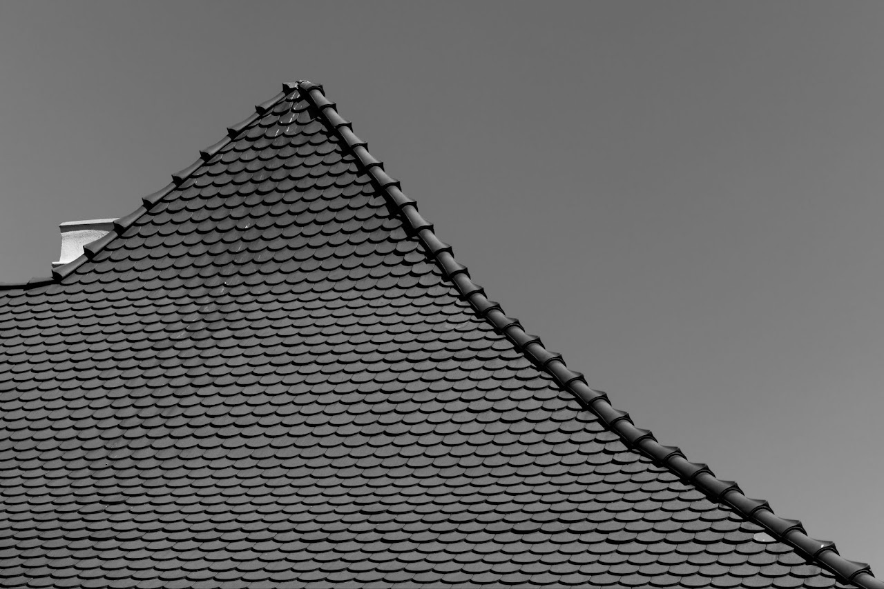 Monochrome tiled roof edge rising against a blank sky