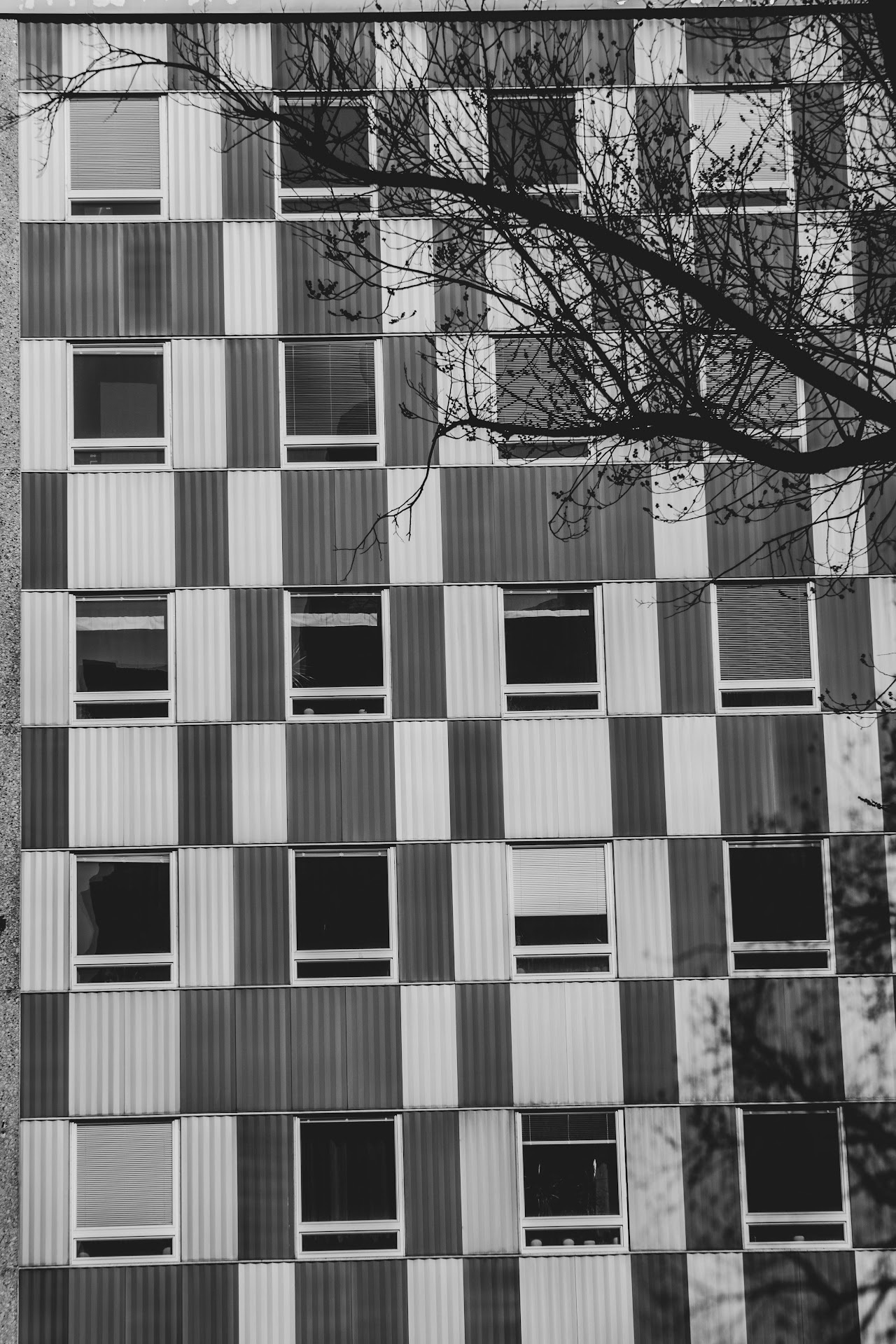Monochrome checkerboard apartment facade seen through bare branches